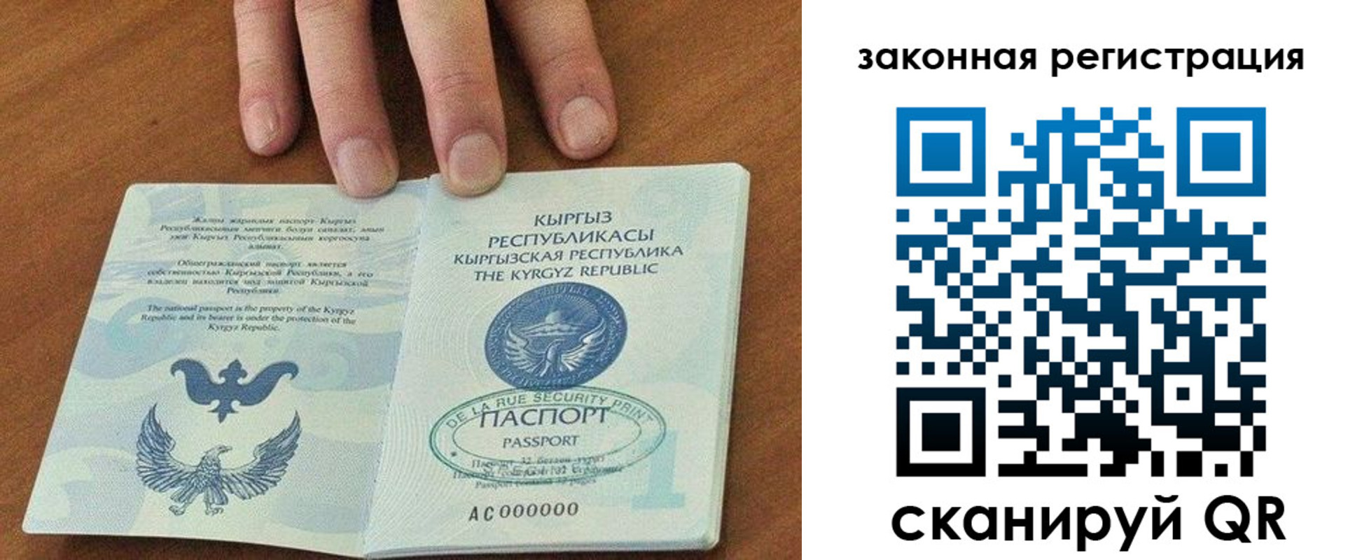 прописка гарантия в Шахунье